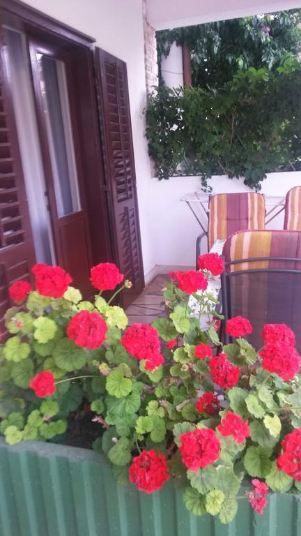 Apartments Soric Rovinj Exterior foto
